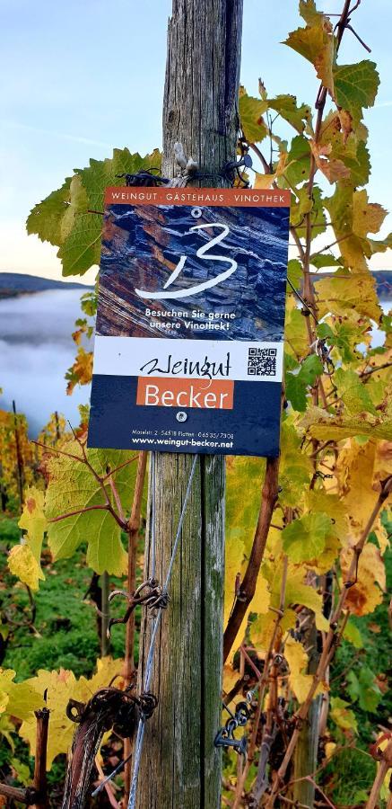 Weingut U. Gaestehaus Becker Platten Bagian luar foto