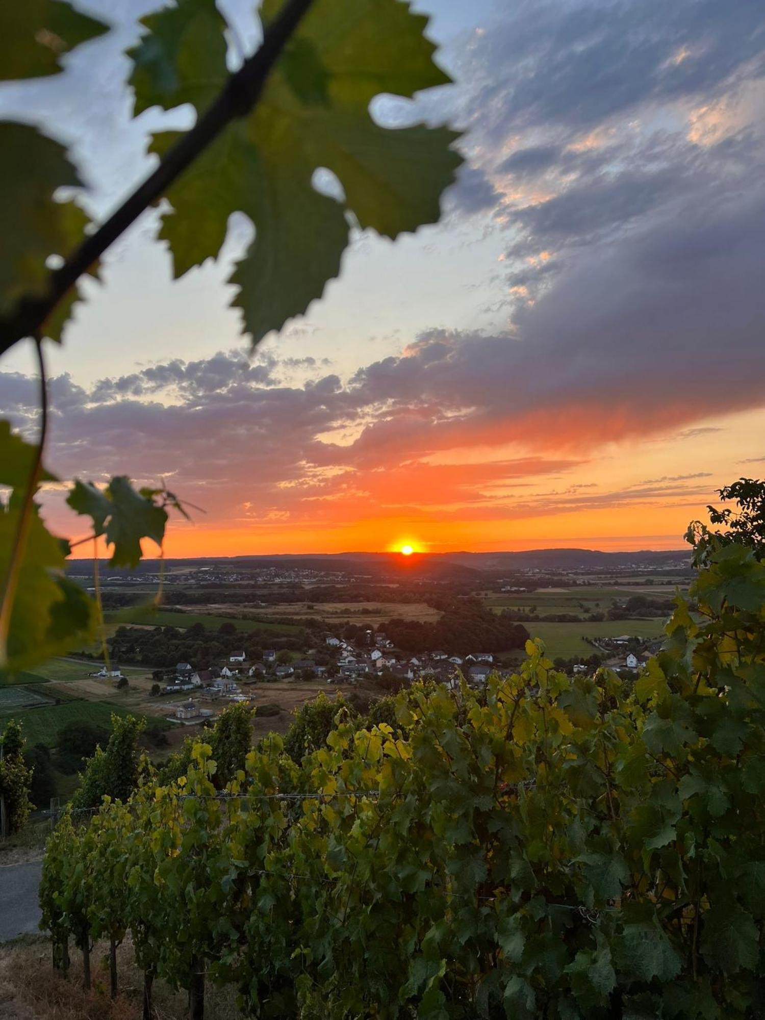 Weingut U. Gaestehaus Becker Platten Bagian luar foto